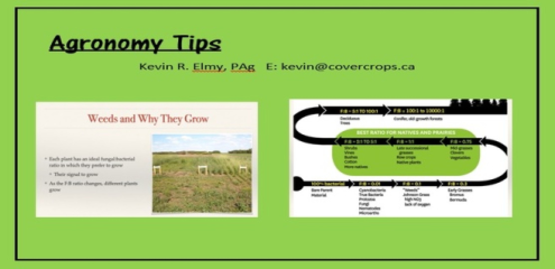 Agronomy Tips